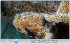 0_11f109_455f1ad4_orig.png