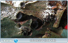 0_11f10f_738904f9_orig.png