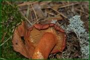 0_eae78_573ee583_orig.jpg