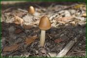 0_eae80_c12340d9_orig.jpg
