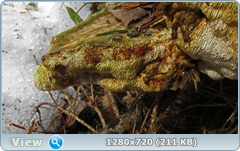 0_103863_21f5ba6f_orig.png