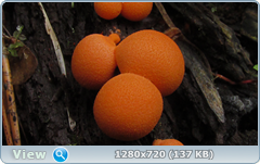 0_107395_79b8cdfa_orig.png