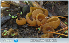 0_1092ba_33d4a171_orig.png