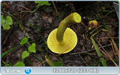 0_110849_49fa52ba_orig.png
