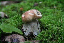 0_1282e7_7c62f636_orig.jpg