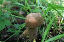 0_1267eb_2cbc912_orig.jpg