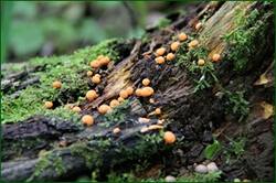 0_142e63_571649f6_orig.jpg