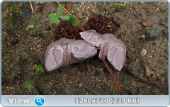 0_10929a_14ac9791_orig.png