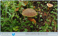 0_1122ac_510f3bfa_orig.png