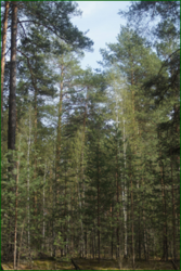 0_e3076_364124_orig.png