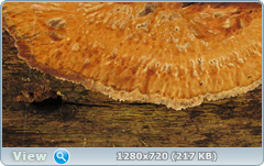 0_10564d_13a524e9_orig.png