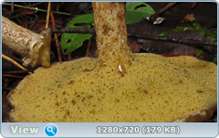 0_10dd57_fbe69700_orig.png