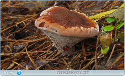 0_110644_adfe9e01_orig.png