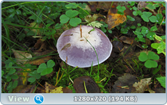 0_112aae_2df9780f_orig.png