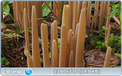 0_1105ed_b3f4f13b_orig.png