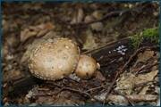 0_d09d4_f6118f7b_orig.jpg