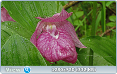 0_e6a66_56f23155_orig.png