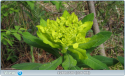 0_e3788_75884b44_orig.png