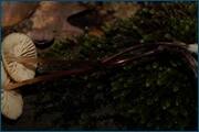 0_d2418_8bf98c1e_orig.jpg