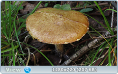 0_fb8ce_cb816966_orig.png