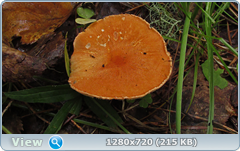 0_eab4f_623b8977_orig.png
