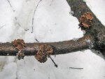 0_84faa_1721bc2_S.jpg