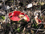 0_85467_9ecc8455_S.jpg