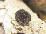 0_86284_cb344c4f_S.jpg
