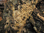 0_862c0_183be9e4_S.jpg