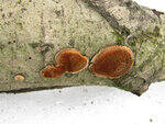 0_862c8_47bea996_S.jpg