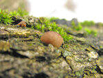 0_8681b_b97ba7c4_S.jpg