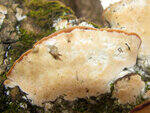 0_86842_d2589bf0_S.jpg