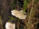 0_8684b_5489c75e_S.jpg