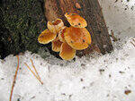 0_8684e_b389c1c_S.jpg