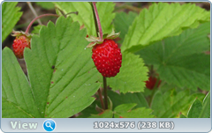 0_e7859_b34726bb_orig.png