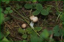 0_ea324_27f49961_orig.jpg