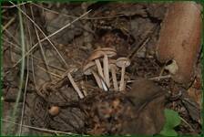 0_ea328_d27540bd_orig.jpg