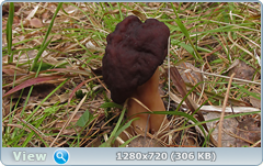 0_104ca1_6133a87f_orig.png