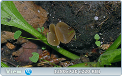 0_1092ca_6d67b3d5_orig.png