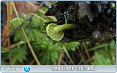 0_1092d2_a17153d6_orig.png