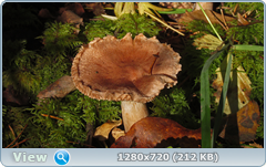 0_112aee_c3be772d_orig.png