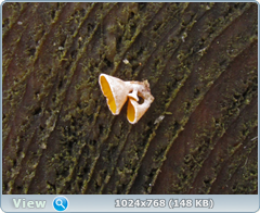 0_128ffe_d3a76fd_orig.png