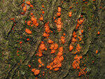 0_86270_f88c1dd6_S.jpg