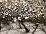 0_86834_3917f8d0_S.jpg