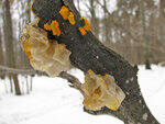 0_86849_86f0e824_S.jpg