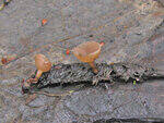 0_869ff_cc4e3660_S.jpg