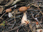 0_87171_2d3b2529_S.jpg