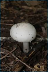 0_d094a_6e41a60d_orig.jpg