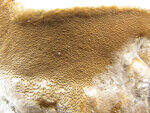 0_87232_768c2f3e_S.jpg