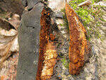 0_8722d_dcd8de0_S.jpg